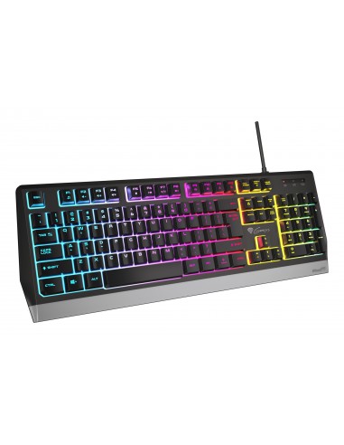 TECLADO GAMING GENESIS RHOD 300 RGB RETROILUMINADO