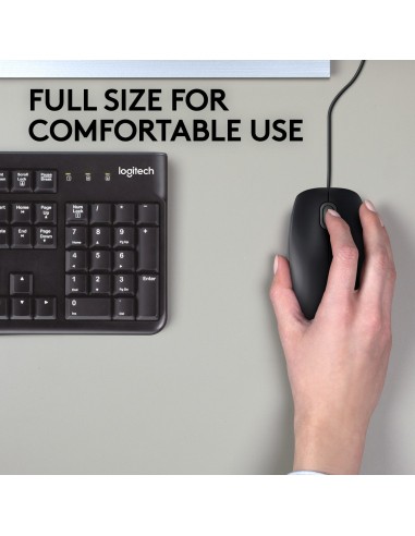 RATON LOGITECH B110 SILENT USB NEGRO