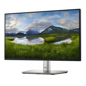 MONITOR Dell 22 Monitor - P2225HDell P2225H - Monitor LED - 22" (21. 2