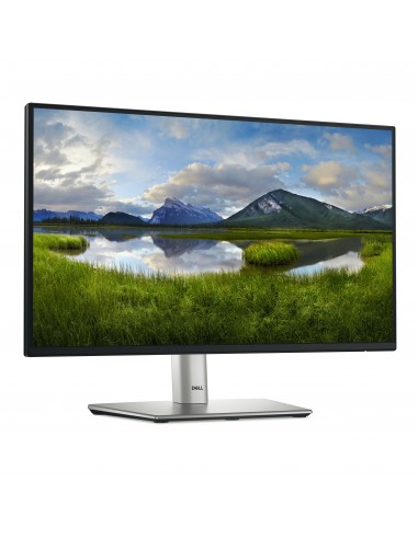 MONITOR Dell 22 Monitor - P2225HDell P2225H - Monitor LED - 22" (21.