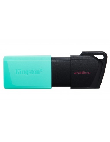 USB 3.2 KINGSTON 256GB DATATRAVELER EXODIA M NEGRO USB 3.2 KINGSTON 256GB DATATRAVELER EXODIA M NEGRO