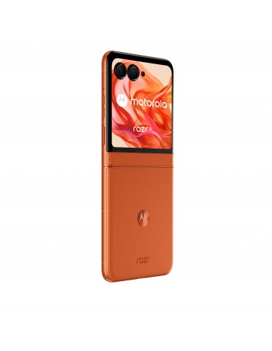 SMARTPHONE MOTOROLA MOTO RAZR 50 8G 256GB ARABESQUE
