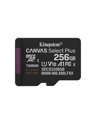MICRO SD KINGSTON HC 256GB SDCS3
