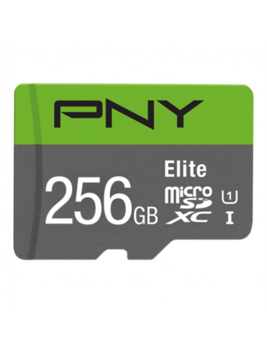 MICRO SD PNY 256GB ELITE UHS-I C10 R100