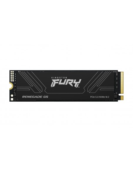 KINGSTON FURY - SSD - 1 TB - PCI EXPRESS 5.0 X4 (NVME)
