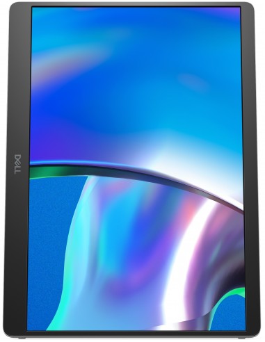 MONITOR DELL P1425 PORTATIL