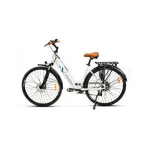 BICICLETA ELECTRICA...