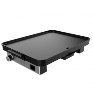 PLANCHA DE ASAR 01750...